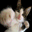 MissisEmpower